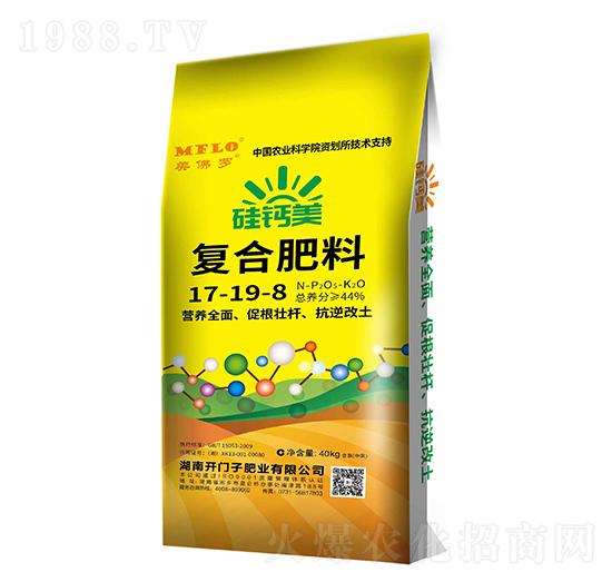 ���}����(f��)�Ϸ���17-19-8-�����_-�_�T��