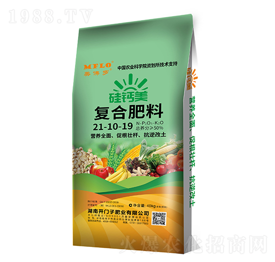 ���}���ͺϷ���21-10-19-�����_-�_�T��