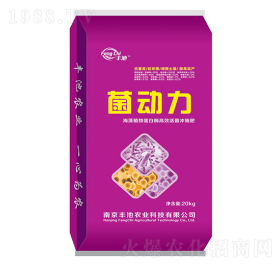 ������-�S���r(n��ng)�I(y��)