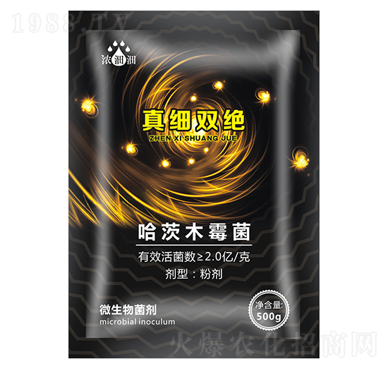 �漚�p�^��΢���������-��p�p-�������