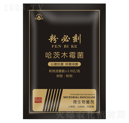 �۱ؿ̣�΢���������-��p�p-�������