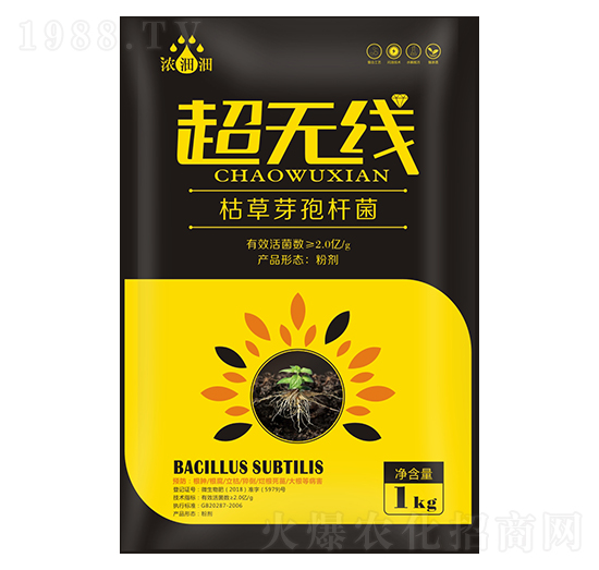 ���o�����ݲ�ѿ�ߗU����-��p�p-�������