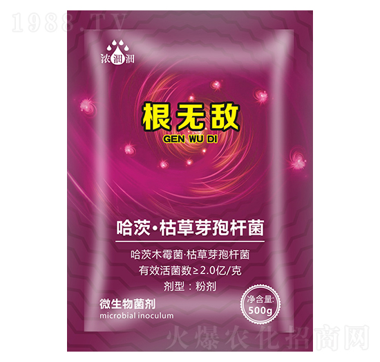 ΢�������-��p�p-�������