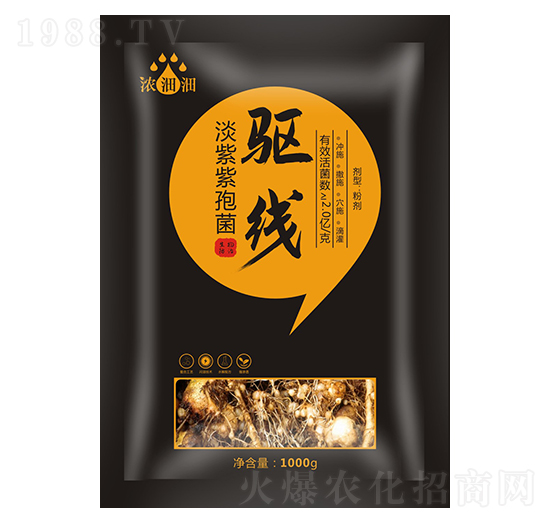 򌾀���������߾���-��p�p-�������