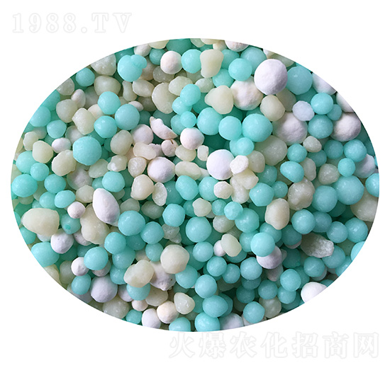 �����w��-����ķ