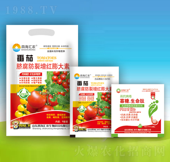 ����Ě���������t�����-�ĺ��R�r(n��ng)