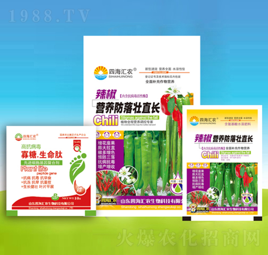 �����I(y��ng)�B(y��ng)�����ֱ�L(zh��ng)-�ĺ��R�r(n��ng)