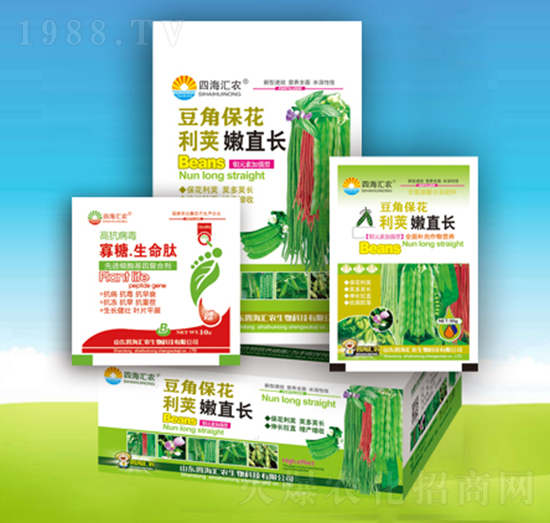 ���Ǳ������v��ֱ�L(zh��ng)-�ĺ��R�r(n��ng)