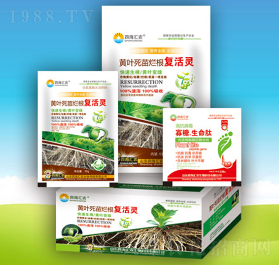 �S�~���砀����(f��)���`-�ĺ��R�r(n��ng)