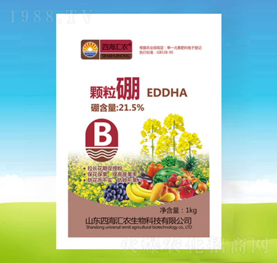 �w����-�ĺ��R�r(n��ng)