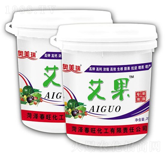 ���������ߌ��ã�-�W����-��������