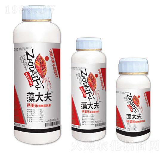 �}�V��(l��)����n����-����-��һ�Z����