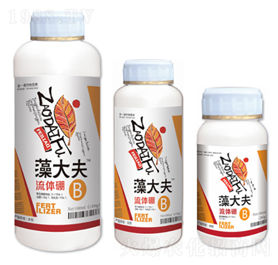 ���w��-����-��һ�Z����