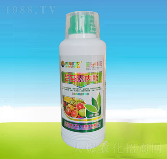 �|̦�؃�(n��i)��-�ĺ��R�r(n��ng)