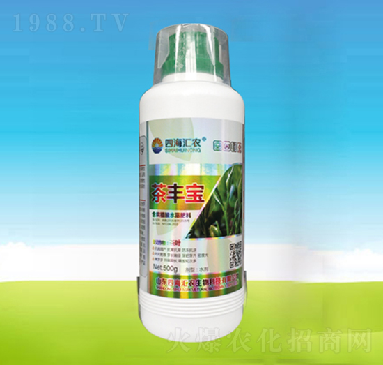 ���S��-�ĺ��R�r