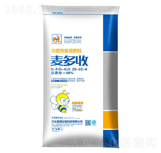 �����ԏ�(f��)�����20-22-6-������-�����t