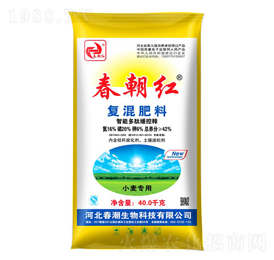 ��(f��)�����16-20-6-�����t