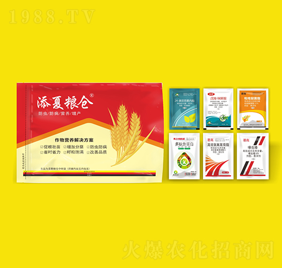 ����I(y��ng)�B(y��ng)��Q����-���ļZ�}(c��ng)-�S�՘�