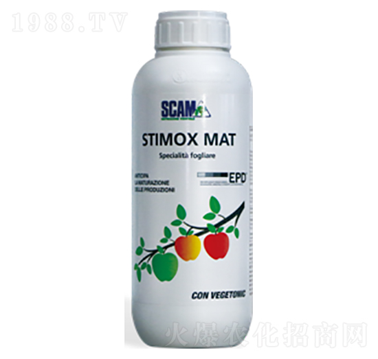 ����ɫ-��(y��u)˼��