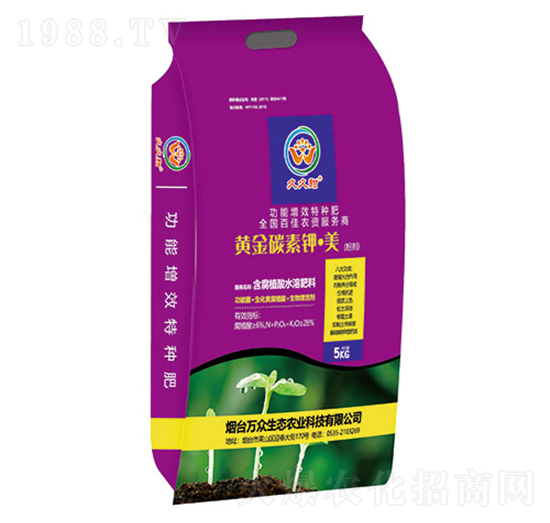 �S��̼�����-�A��