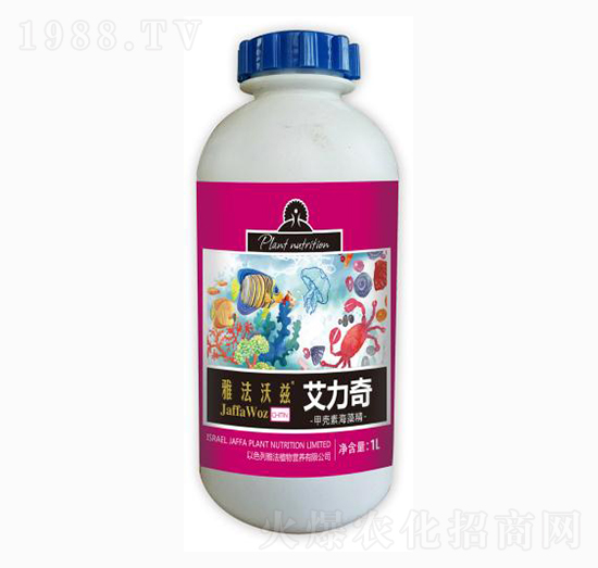 ������ך��غ��徫-�ŷ���Ɲ-�ŷ�