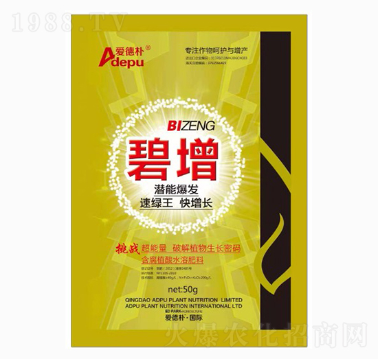 ����-�۵�