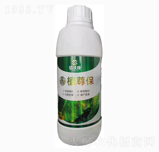 1kgֲ��-���ֿ�