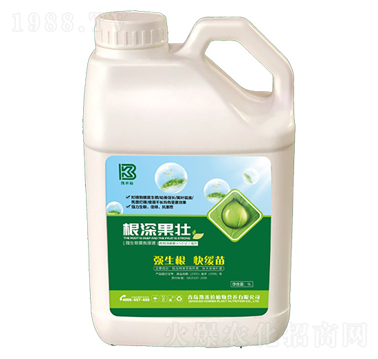 �������-�P����