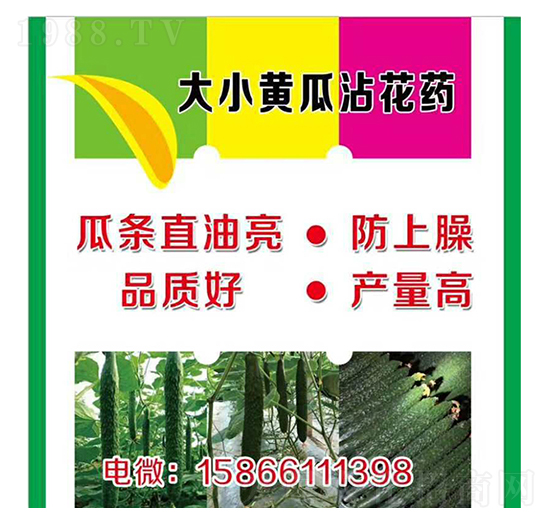 ����С�S��պ��ˎ-�����r(n��ng)�I(y��)