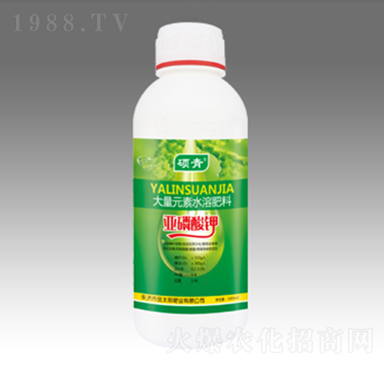 �������-��̫ꖷʘI(y��)