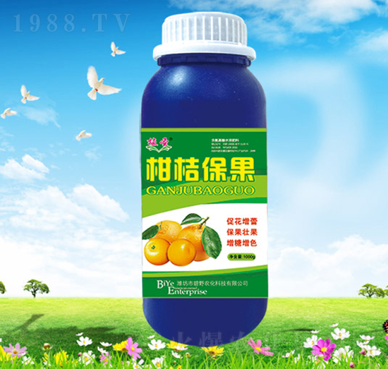 �̽۱���-��Ұ�r��