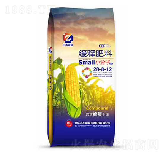 ��ጷ���28-8-12-���r��ʢ