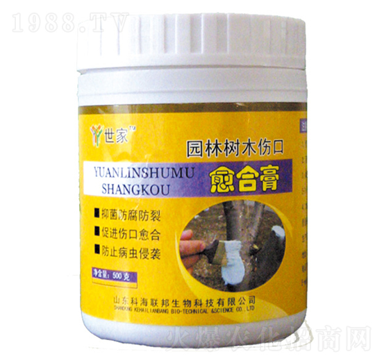 500g�@�֘�ľ�������ϸ�-����-�ƺ�(li��n)��