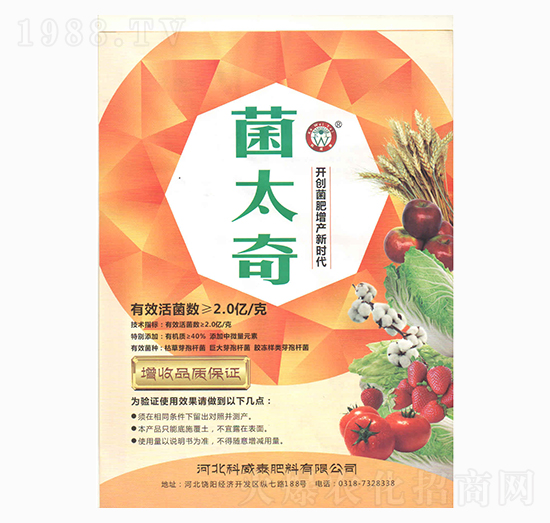 ��̫��-����̩