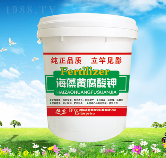 �����S�����-ֲʥ-��Ұ�r��