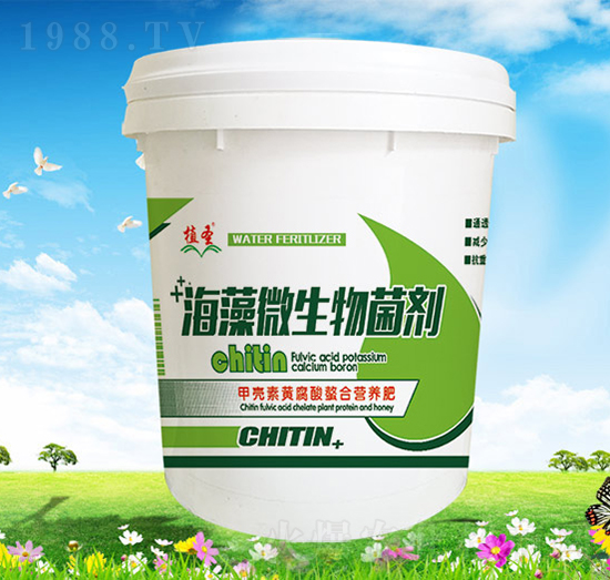 ����΢�������-ֲʥ-��Ұ�r(n��ng)��