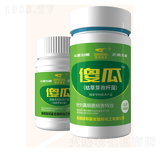 �ݲ�ѿ�ߗU��-ɵ��-��μ�