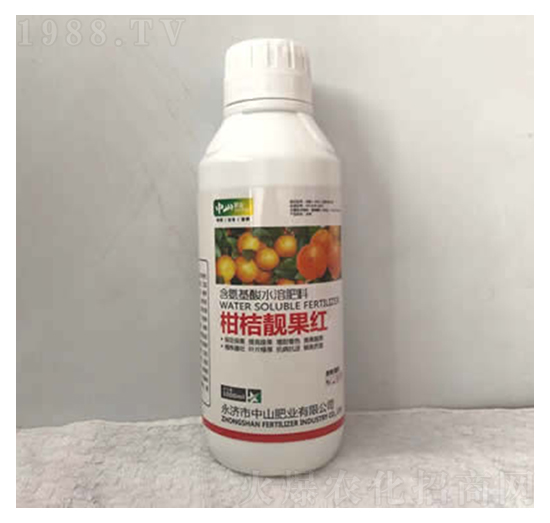 �̽��n���t-��ɽ�ʘI(y��)