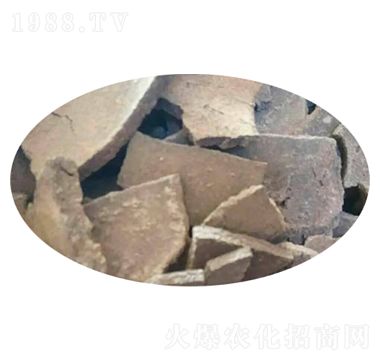 ֥����ЙC��-�ָ���