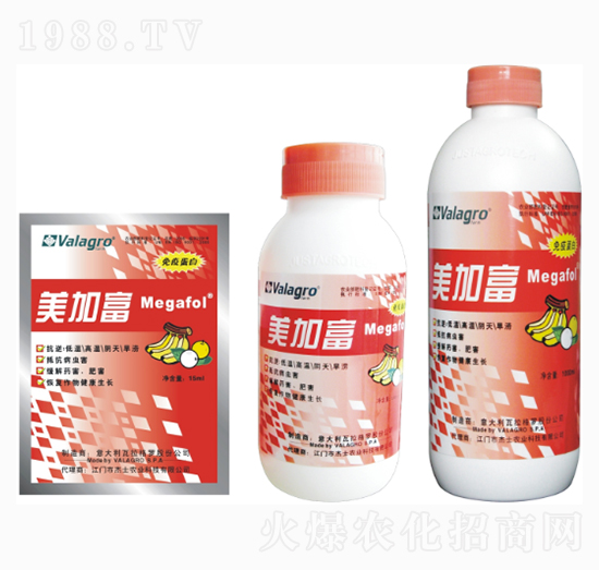 ���Ӹ��������߄�-��ʿ�r�I(y��)