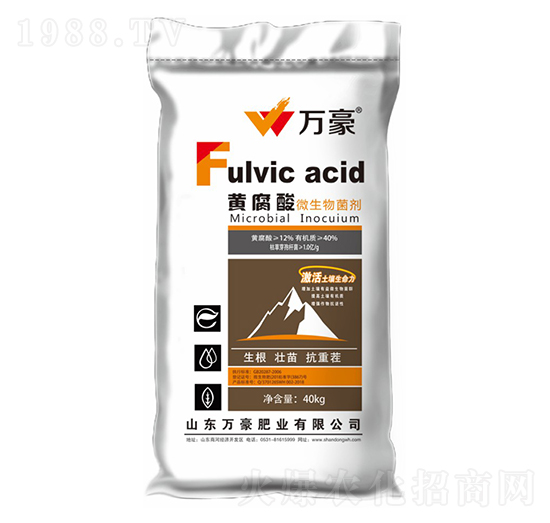 �S����΢�������-�f��