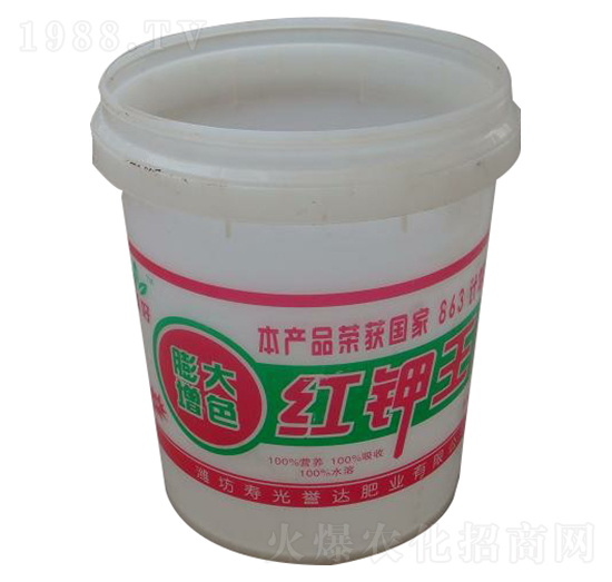 �����ɫ�t���-�u�_�ʘI(y��)