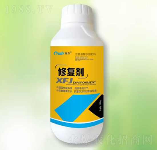 �ޏ̈́�-�|������