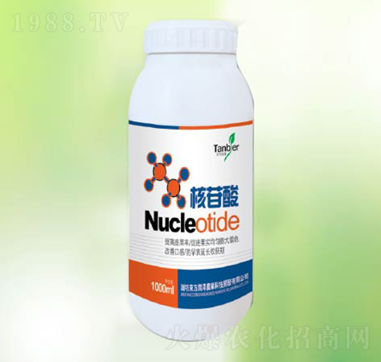 ������-�|������