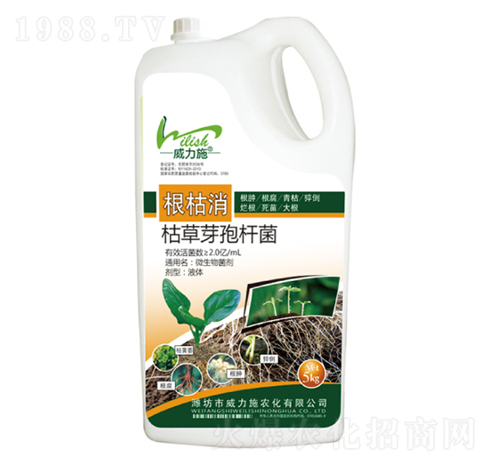 �������ݲ�ѿ�ߗU��-����ʩ