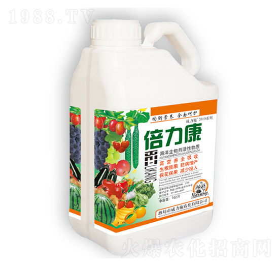 ������-����ʩ