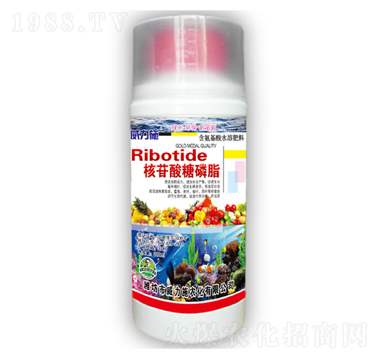 ����������֬-����ʩ