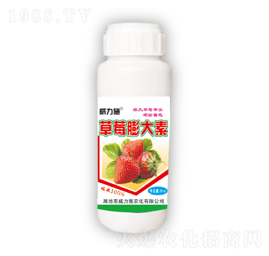 ��ݮ�����-����ʩ