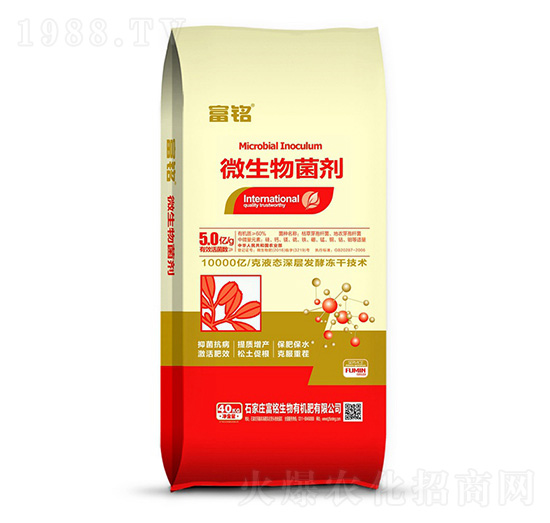 5�|��΢�������-���