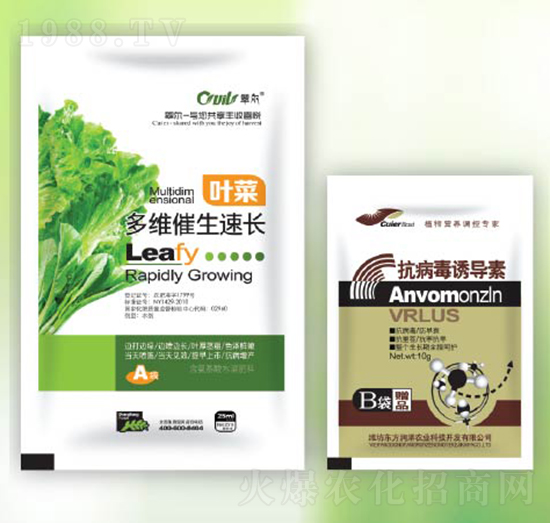 ��S�������L+�������T��(d��o)��-�|������